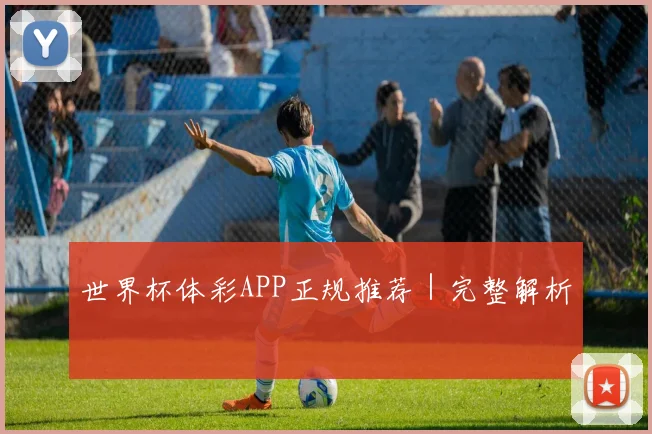 世界杯体彩APP正规推荐｜完整解析