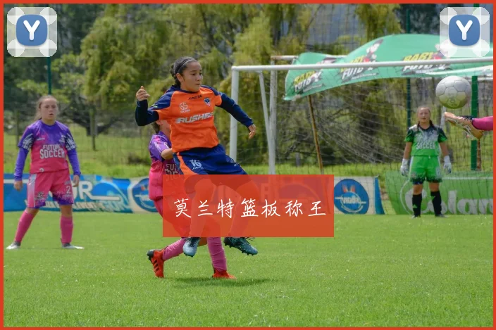 莫兰特篮板称王