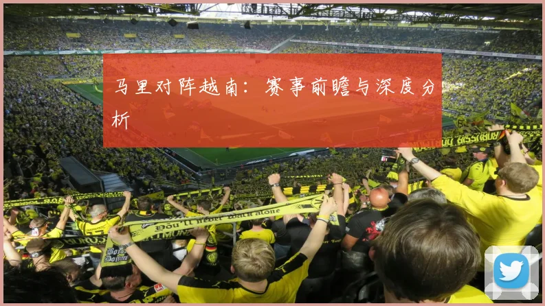 马里对阵越南：赛事前瞻与深度分析