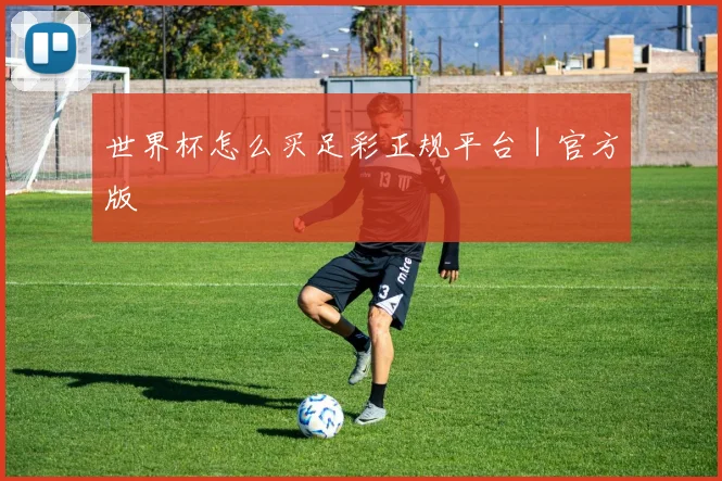 世界杯怎么买足彩正规平台｜官方版