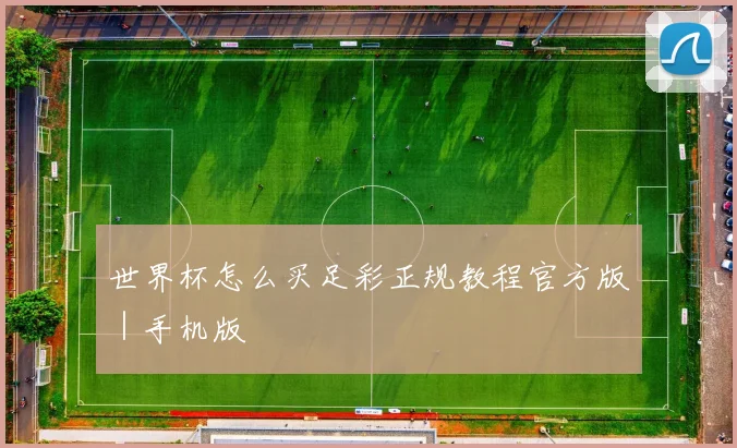 世界杯怎么买足彩正规教程官方版｜手机版