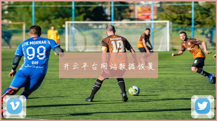 开云平台网站数据恢复