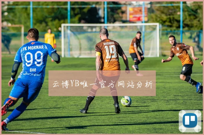 云博YB唯一官方网站分析